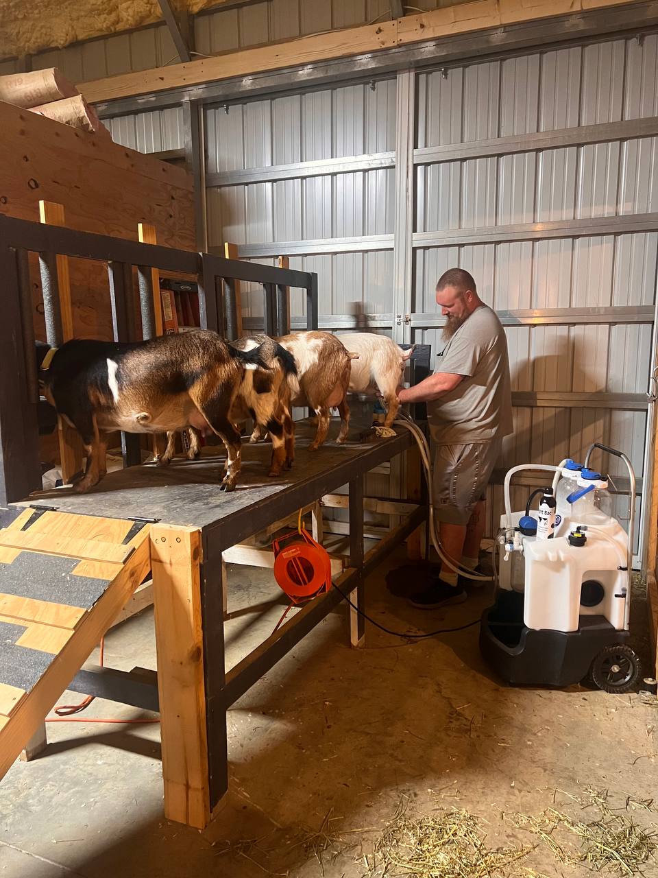 Milking line setup